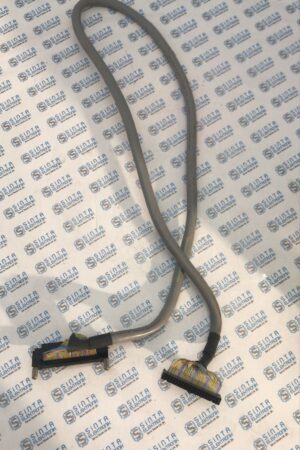 whatsapp image 2025 01 06 at 11.19.37